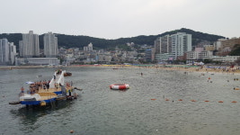[윤기자의 콕 찍어주는 그곳] 우리나라 최초 해수욕장은?  - 부산 송도 해수욕장