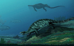 [와우! 과학] 초기 거북은 등껍질 없었다…2억 2800년 전 화석 발견