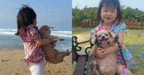 [김유민의 노견일기] “잘가…고마웠어” 홍이와 마지막 인사