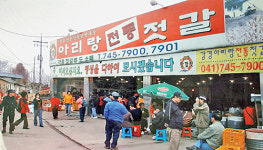 [인터뷰 플러스] “발효 젓갈 ‘셀링(sailing)’… 한류화로 세계 시장 도전”