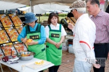 이천 장호원복숭아축제 14일 팡파르