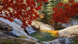 설악 단풍 어떨까? 만경대와 십이선녀탕~대승령~장수대 사진들