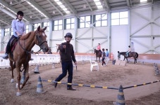 단양·괴산·보은에 공공승마장 생긴다