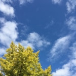 미세먼지 적은 청명한 가을 하늘…19일도 전국 ‘좋음’