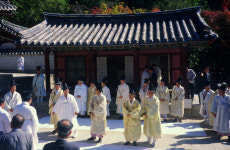 문중의 힘, 한국 정치마저 지배했다