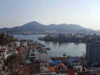 [윤기자의 콕 찍어주는 그곳] 정답은, 봄이다 - 통영 동피랑 벽화마을