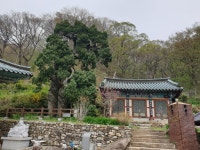 [사진들] 송광과 선암 품은 조계산, 불교가 곧 꽃인데 뭘