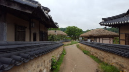 [윤기자의 콕 찍어주는 그곳] 외나무 다리, 세상과 이어주는 영주 무섬마을