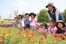 [현장 행정] 허브와 함께 낮과 밤 100가지 향긋한 힐링