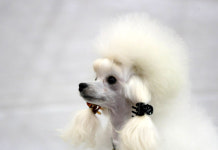 [포토] ‘원장님이 누구시니?’