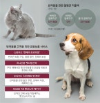 할인·우대금리 실화‘냥’…펫팸족 금융 짭짤하구‘멍’
