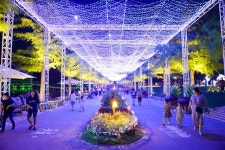 나무, 꽃, 물 그리고 빛… 순천만국가 힐링 정원