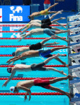 예선·준결선 1위 선수만 4번 레인에 설 수 있다