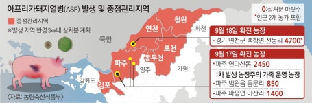 연천 축산차량, 경북 농장 3곳 방문… ‘돼지열병’ 공포 전국 확산