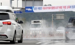 아프리카돼지열병 화성서 의심신고…확진시 서울이남 첫 발병