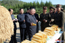 김정은, 옥수수 들었다… 4주 만에 軍 농장 공개 방문