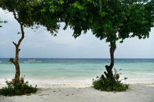 그 섬이 속삭였다… 풍경은 낭만이 됐다