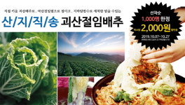 산지직송 괴산 절임배추, 괴산장터서 사전 예약 할인 이벤트 실시