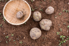 감자 캐고, 상사 집 음식배달…직장갑질119 “박찬주형 갑질”