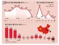 연성중국인지원센터 | 중국 지방정부가 연명해 나가는 법
