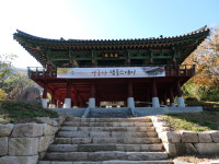 [윤기자의 콕 찍어주는 그곳] 은행나무, 황금빛 날개 되어 - 영동 영국사(寧國寺)