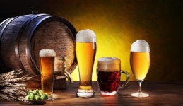 한맥발효 주식회사 | [장수철의 생물학을 위하여] 빵과 맥주, 발효가 만들어 내는 놀라운 마법