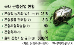 곤충업 농가·법인 총 2318곳… 경기 505곳 ‘최다’