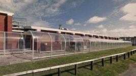 담에 구멍 하나 냈을 뿐인데 사람들이 몰려 든다고