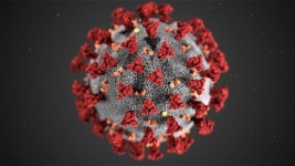 “코로나19, 세포결합, 사스 최대 1000배…HIV와 유사한 변이”