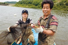 얇디얇게 쫄깃쫄깃… 1년에 딱 한 달 임진나루 황복회의 호사