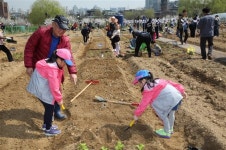 금천 “친환경 주말농장서 코로나 스트레스 날리세요”