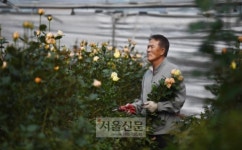 피고 지는 것이 우리 인생, 웃음꽃 필 날 기다리며…