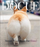 최신 트렌드, 보그(Vogue) 말고 ‘도그(Dogue)’