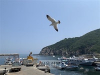 “그런 法 있었나?”… 밀실행정이 자초한 ‘어선안전조업법’ 논란