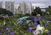 그린벨트 안 풀리는 내곡·세곡동 “김샜다”