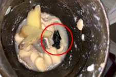 中 우한 식당 돼지국밥서 ‘박쥐 사체’ 둥둥…현지 발칵