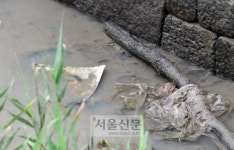 [서울포토] ‘월북’ 탈북민 것으로 추정되는 발자국