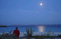 [월드피플+] 무인도서 31년간 ‘나홀로 삼시세끼’…81세 자연인의 마지막 소원