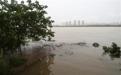 장맛비 쏟아지는 경기도...수원 화산지하차도 통제