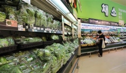 물폭탄에 밥상물가 들썩… 농산물 비축물량 풀어 가격안정 조치