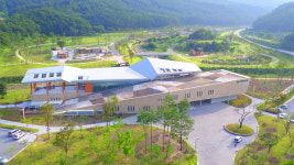 경북 최북단 봉화서 차나무 자랄까?…국립백두대간수목원 시험 재배