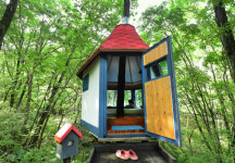 숲속 동물 벗 삼는… 나무가 집이다