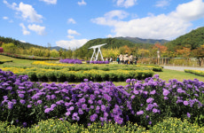 국립백두대간수목원 ‘봉자페스티벌’ 개최…추석 특별행사도 마련