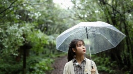 이선희랑 아이유랑 나무랑 걸을까… 해금이랑 재즈랑 즐겨볼까