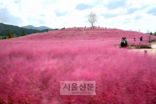 설렘의 시간, 수줍은 고백