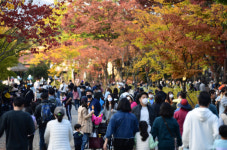 중대본 “거리두기 1단계  안전하단 뜻 아냐…집단감염 여전”