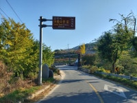 팔공산 순환도로 불법 현수막 ‘다닥다닥’…단속은커녕 방관만