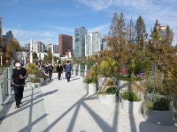 새로 개통한 서울로7017~구서울역사 연결보행로, 재개장한 손기정 체육공원 가보니…