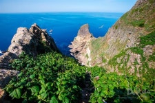 독도의 봄·여름·가을·겨울… 색 갈아입는 사계절