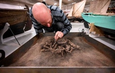 8400년 전, 죽음으로 충성을 바쳐야 했던 개의 유골 발견